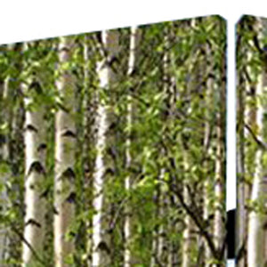 84" X 84" Multi Color Wood Canvas Prolific Forrest  Screen