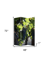 48" X 72" Multi Color Wood Canvas Wine Country  Screen