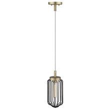 Gold and Black Metal Cage Pendant Hanging Light
