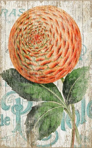 Orange Zinnia Flower Wall Art