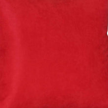 Set of Two 26" Red Euro Throw Pillow Covers