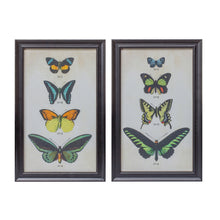 Set of Two Black Blue And Green Butterfly Solid Wood Framed Art