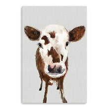 24" x 16" Brown and White Baby Cow Face Canvas Wall Art - Buy JJ's Stuff