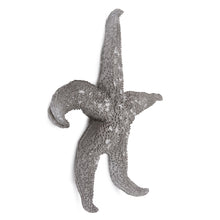 19" Silver Pewter Textured Starfish Wall Art