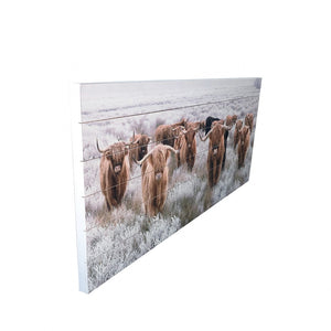 Angelic Highland Cow Herd Wood Plank Wall Art