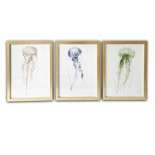 Set of Three Blue Green Brown Jellyfish Framed Wall Art Set