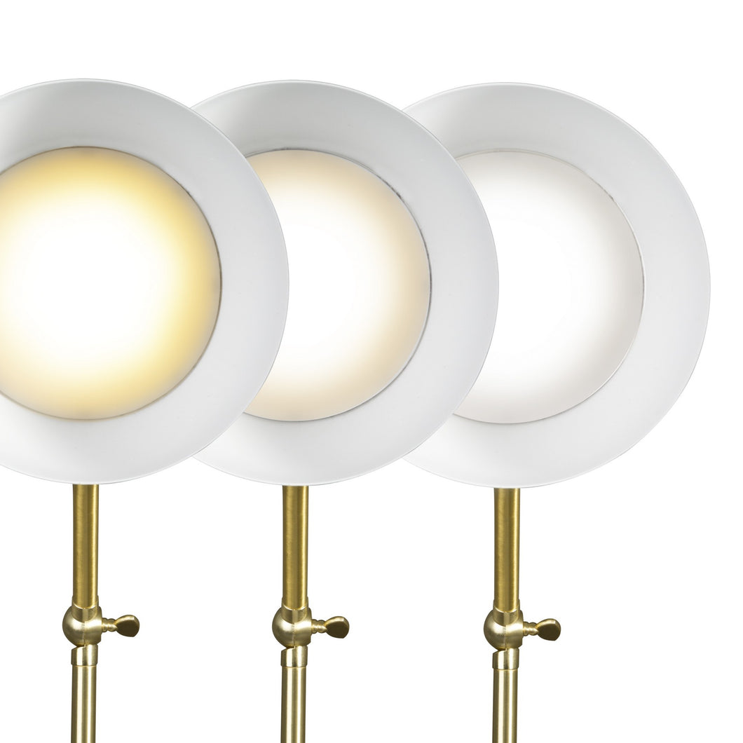Matte Black and Gold Mod LED Adjustable Desk Lamp