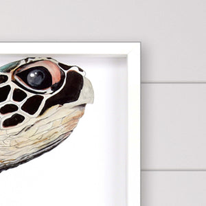 Great Sea Turtle White Print Shadowbox Framed Wall Art