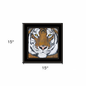 Tiger Gaze 2 Black Framed Print Wall Art