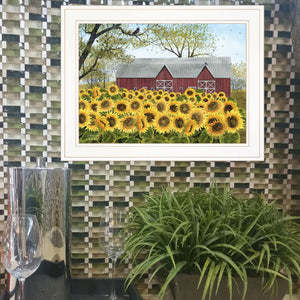 Sunflower Barn White Framed Print Wall Art