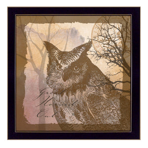 Owl 2 Black Framed Print Wall Art - Buy JJ's Stuff
