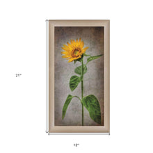 Sunflower II Brown Framed Print Wall Art