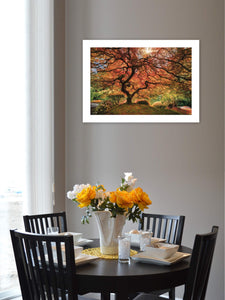 First Colors Of Fall I 1 White Framed Print Wall Art - Buy JJ's Stuff