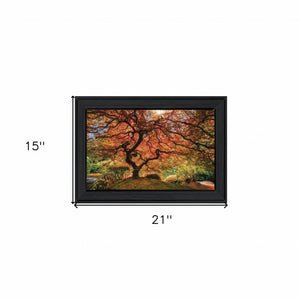 First Colors Of Fall I 2 Black Framed Print Wall Art - Buy JJ's Stuff