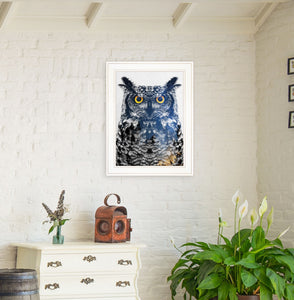 Night Owl 2 White Framed Print Wall Art - Buy JJ's Stuff