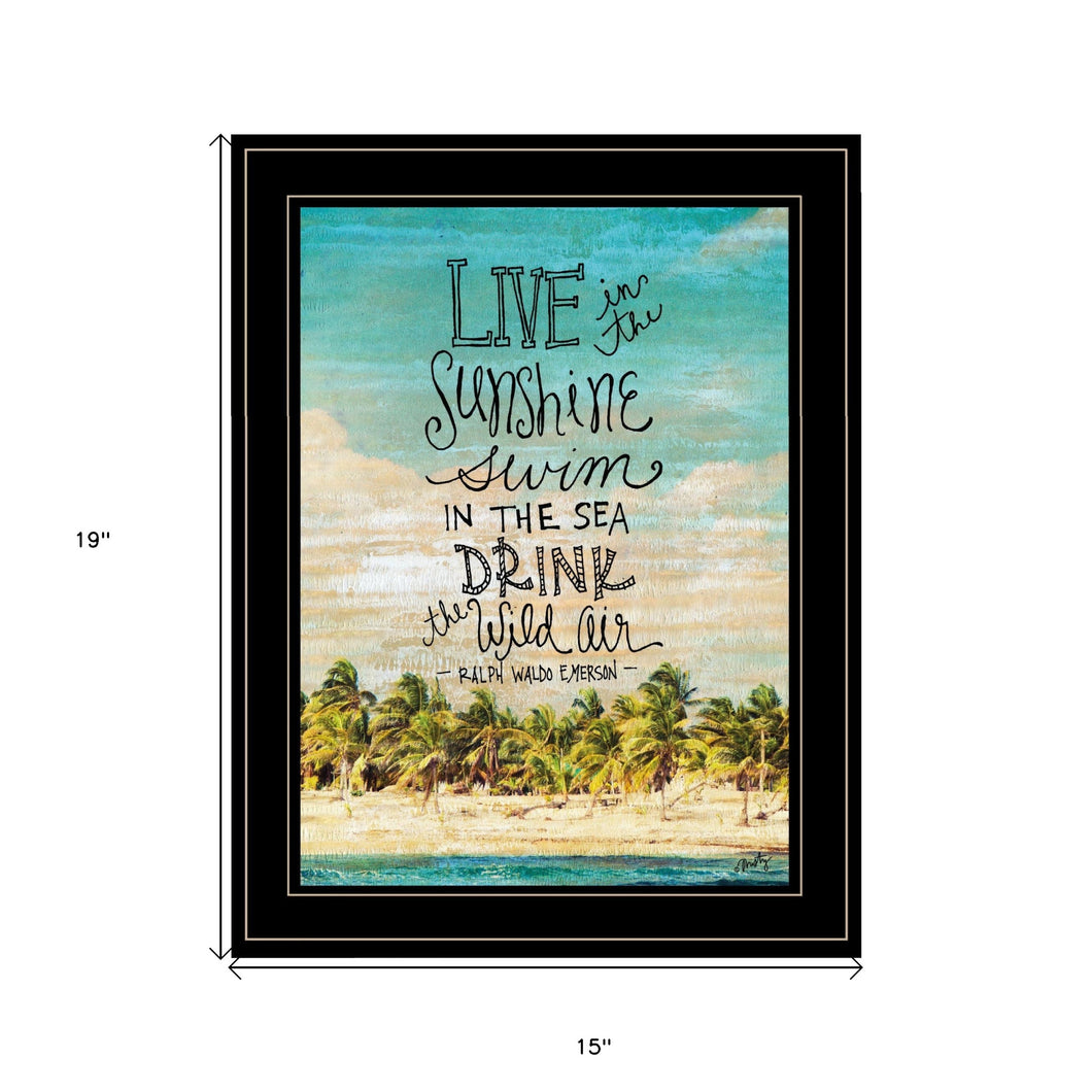 Live In The Sunshine 3 Black Framed Print Wall Art - Buy JJ's Stuff