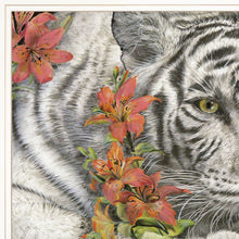 Tiger Lily 2 White Framed Print Wall Art
