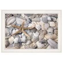 Starfish & Seashells 3 White Framed Print Wall Art