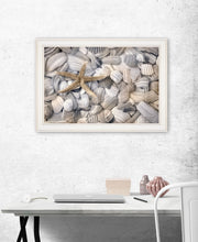 Starfish & Seashells 3 White Framed Print Wall Art