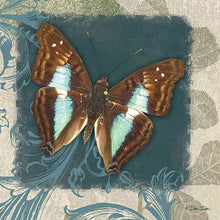 Swirl Butterfly White Framed Print Wall Art