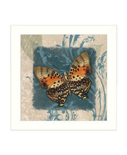 Swirl Butterfly III White Framed Print Wall Art