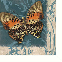 Swirl Butterfly III White Framed Print Wall Art