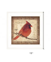 Male Cardinal 1 White Framed Print Wall Art - Buy JJ's Stuff