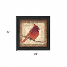 Male Cardinal 2 Black Framed Print Wall Art - Buy JJ's Stuff