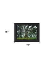 Enchanted Forest I 3 Black Framed Print Wall Art - Buy JJ's Stuff