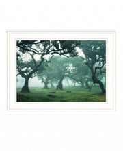 Enchanted Forest II 2 White Framed Print Wall Art - Buy JJ's Stuff