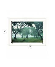 Enchanted Forest II 2 White Framed Print Wall Art - Buy JJ's Stuff