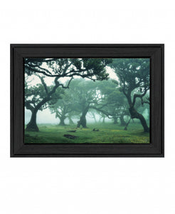 Enchanted Forest II 3 Black Framed Print Wall Art - Buy JJ's Stuff