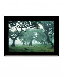 Enchanted Forest II 4 Black Framed Print Wall Art - Buy JJ's Stuff
