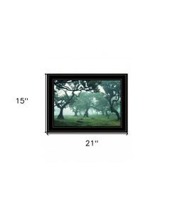 Enchanted Forest II 4 Black Framed Print Wall Art - Buy JJ's Stuff