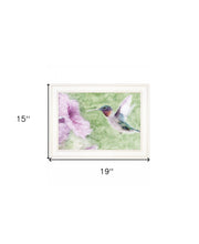 Humming Bird 2 White Framed Print Wall Art - Buy JJ's Stuff
