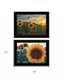 Set Of Two Midwest Living Collection 2-Piece 3 Black Framed Print Wall Art