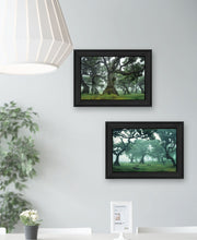 Set Of Two Enchanted Forest 2 Black Framed Print Wall Art - Buy JJ's Stuff