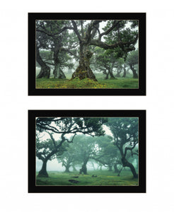 Set Of Two Enchanted Forest 4 Black Framed Print Wall Art - Buy JJ's Stuff