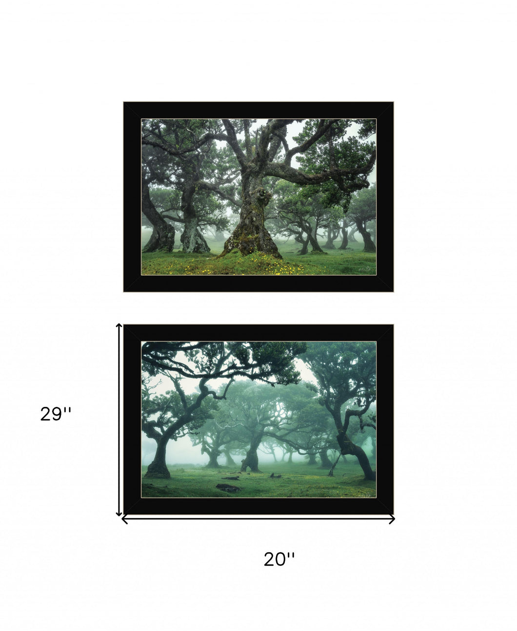 Set Of Two Enchanted Forest 4 Black Framed Print Wall Art - Buy JJ's Stuff