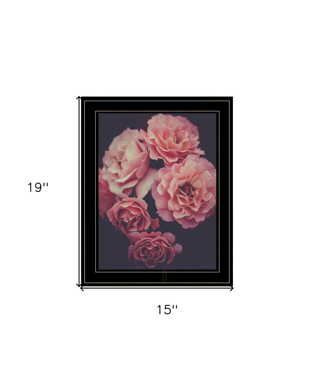 Dreamy Rose 2 Black Framed Print Wall Art - Buy JJ's Stuff