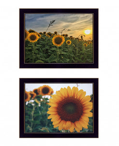 Set Of Two Midwest Living 4 Black Framed Print Wall Art