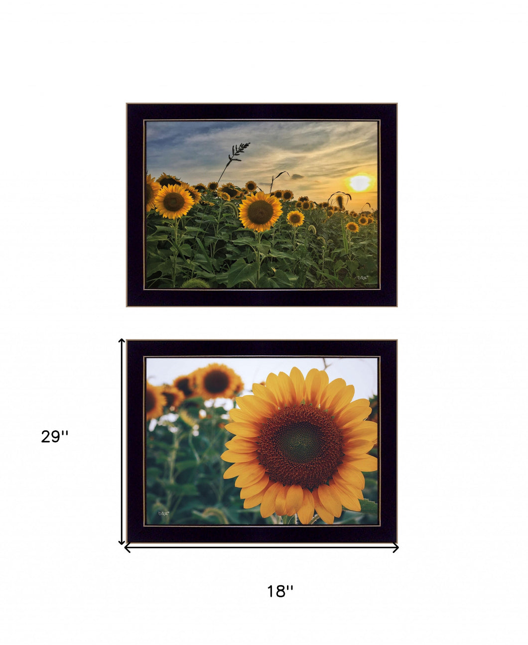Set Of Two Midwest Living 4 Black Framed Print Wall Art